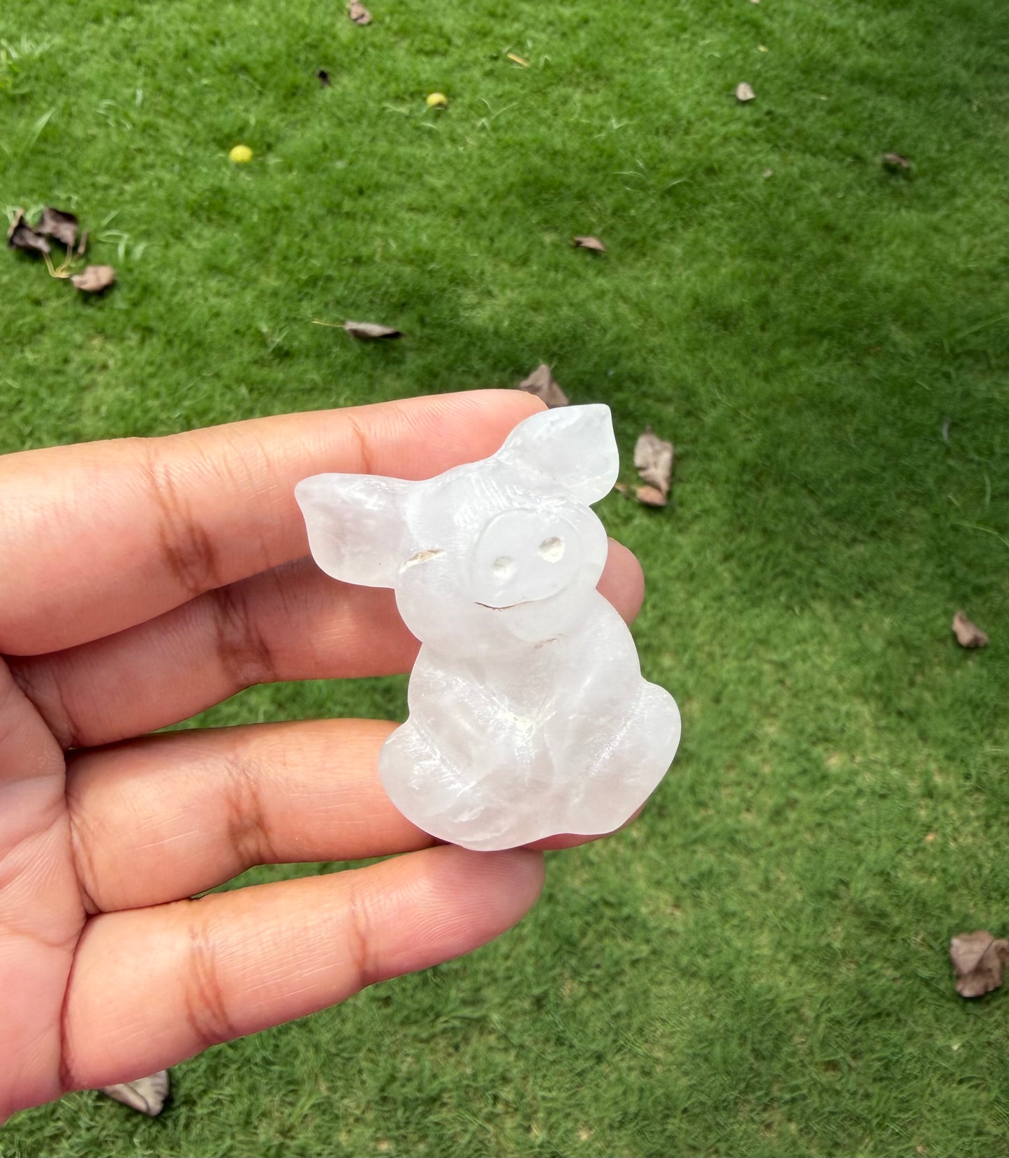 Master Manifestor Clear Quartz Piglet