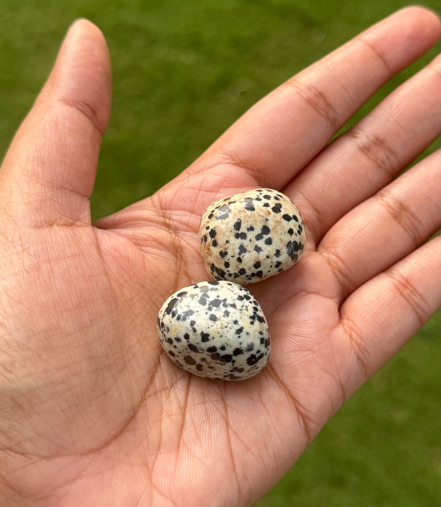 Heal your inner child Dalmatian Jasper tumble set