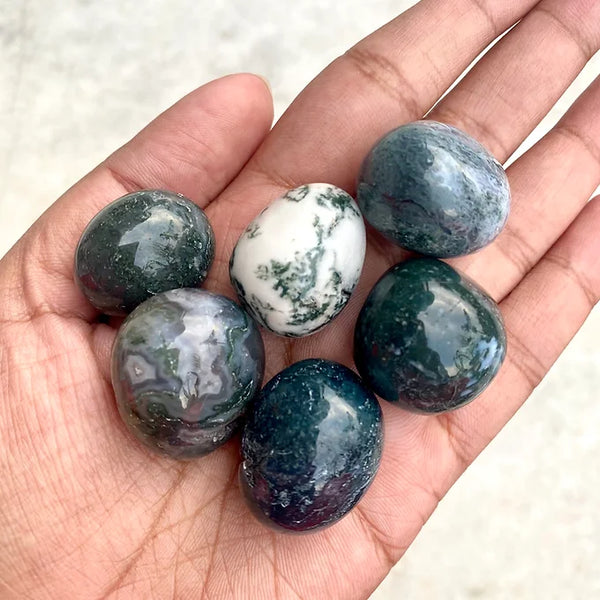 Growth and expansion Tree Agate Tumble set