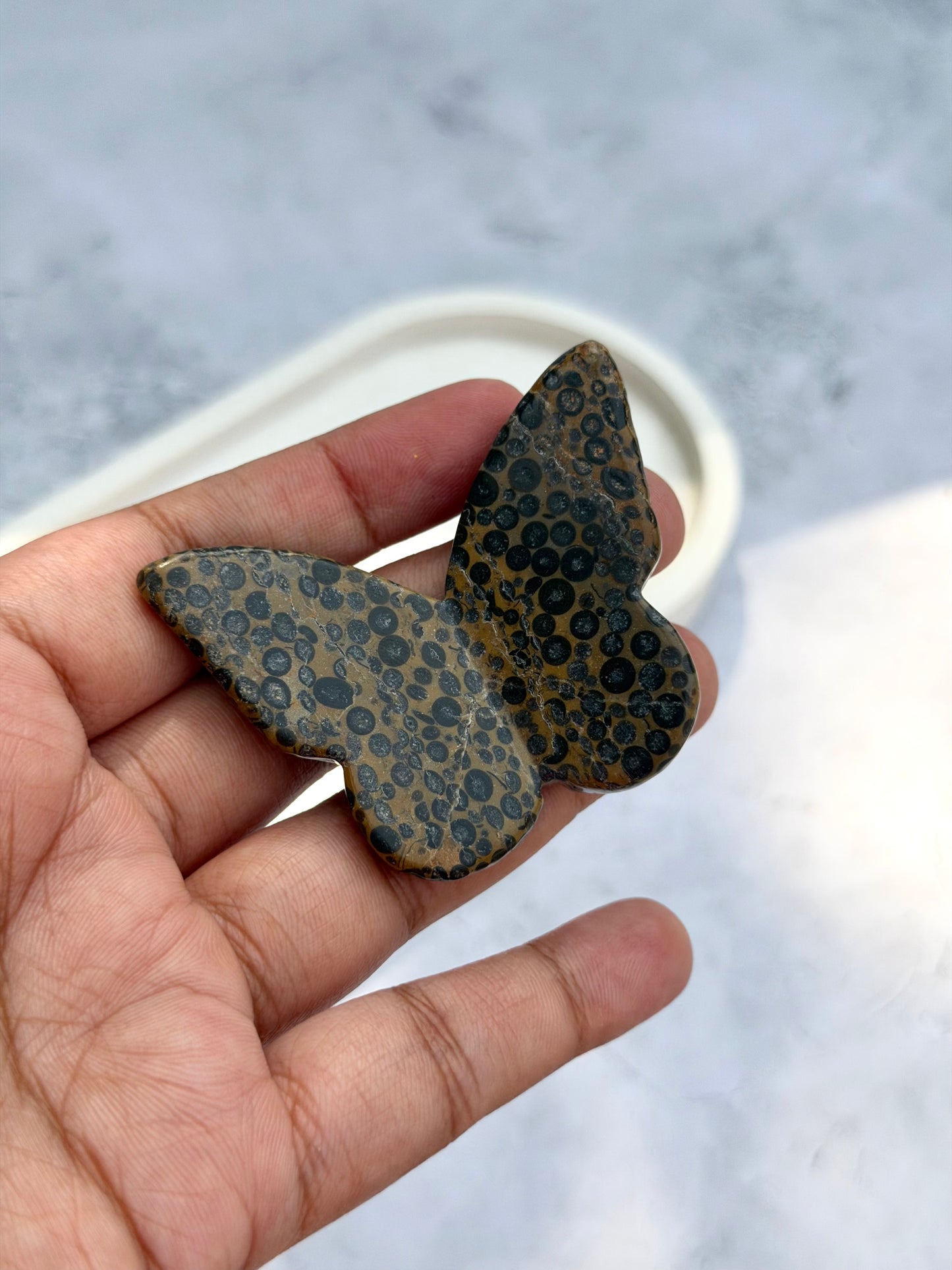 Connect with your spirit guides Leopardskin jasper butterfly
