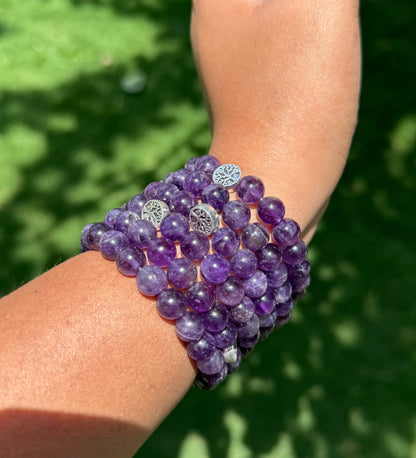 Anti Addiction + Enlightenment Amethyst Bracelet 8mm